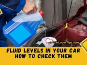 Fluid Levels In Your Car How To Check Them Guide Fluid Levels In Your Car How To Check Them Guide