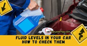 Fluid Levels In Your Car How To Check Them Guide Fluid Levels In Your Car How To Check Them Guide